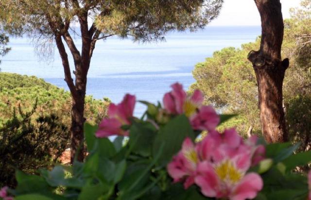 appartamento vacanze Elba